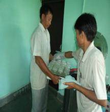  Rooting Invitro                                             Hardening