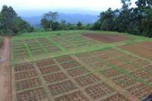 STATE AGRICULTURAL RESEARCH 1