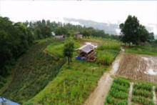 STATE AGRICULTURAL RESEARCH 11