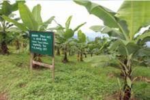 STATE AGRICULTURAL RESEARCH 18