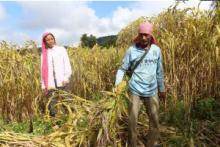 STATE AGRICULTURAL RESEARCH 2