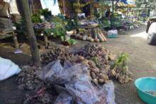 STATE AGRICULTURAL RESEARCH 6