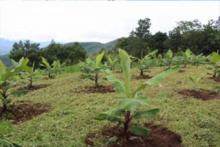 STATE AGRICULTURAL RESEARCH 9