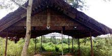 Tribal Hut